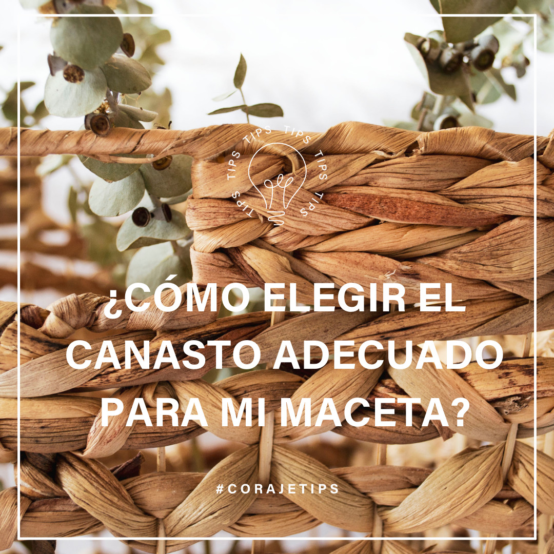 El canasto adecuado para mi maceta