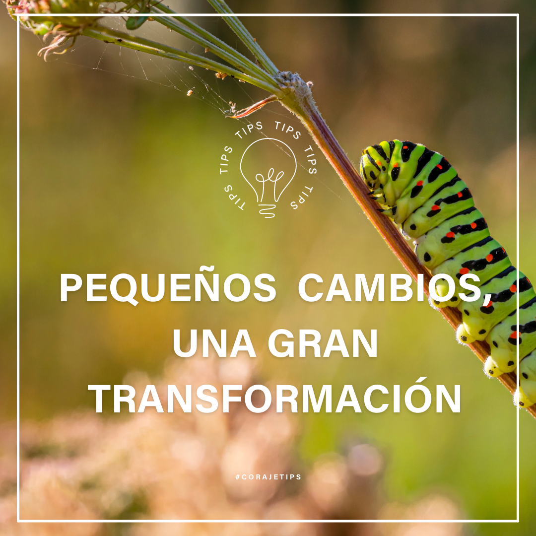 Pequeños cambios, una gran transformación