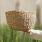 Cesta tejida Vietnam