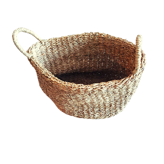 Canasto Ñuble