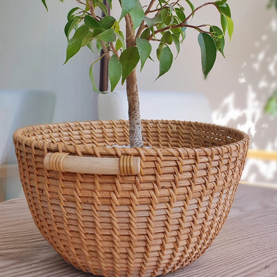 Cesta Roma