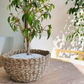 Cesta tejida Vietnam